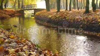 公园里的孤桥。 令人惊叹的秋天在托皮尔斯水文公园，特诺皮尔市，乌克兰，欧洲。 强烈的阳光照射下